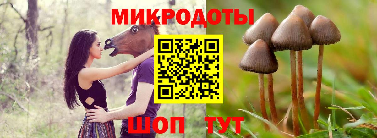 Черногорск  Псилоцибиновые грибы Psilocybine cubensis  магазин  наркотиков  Вход с VPN  Псилоцибиновые грибы ЛСД 